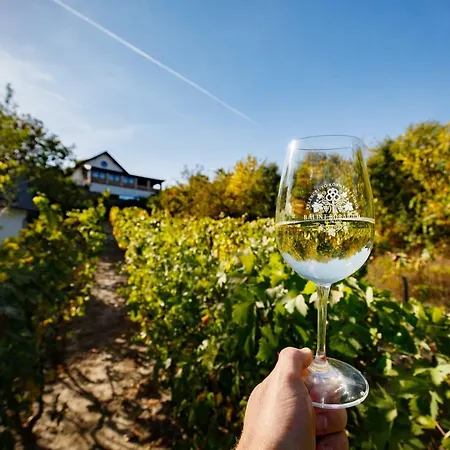Borárium - Néró Ház Maison d'hôtes